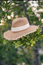 Straw Panama hats