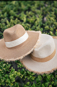 Straw Panama hats